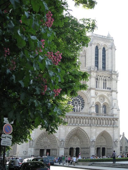 img_Notre Dame 03.jpg